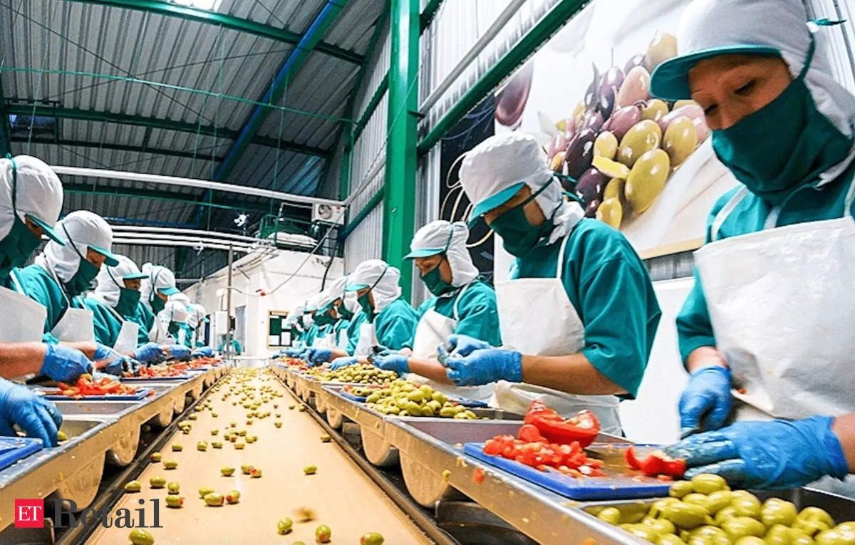 Workers in protective clothing and gloves sorting vegetables on a conveyor belt in a food processing plant.